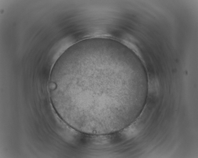 X0000073461338200608251722