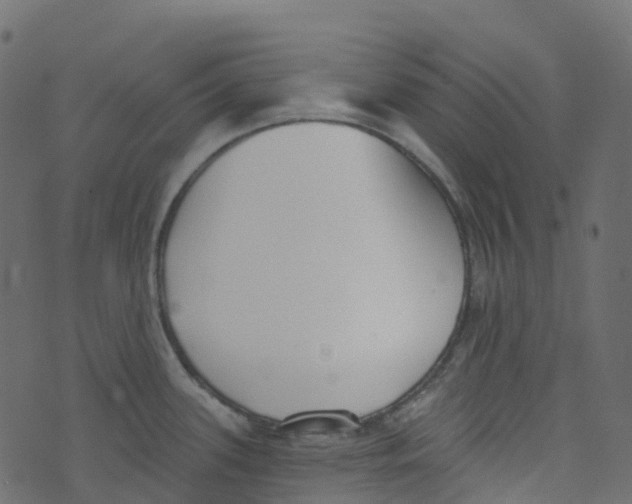 X0000073461339200608251722