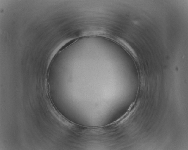 X0000073461340200608251722