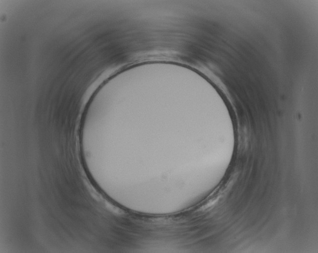 X0000073461341200608251722