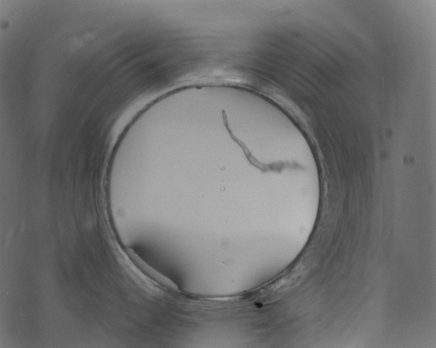 X0000073461344200608251722