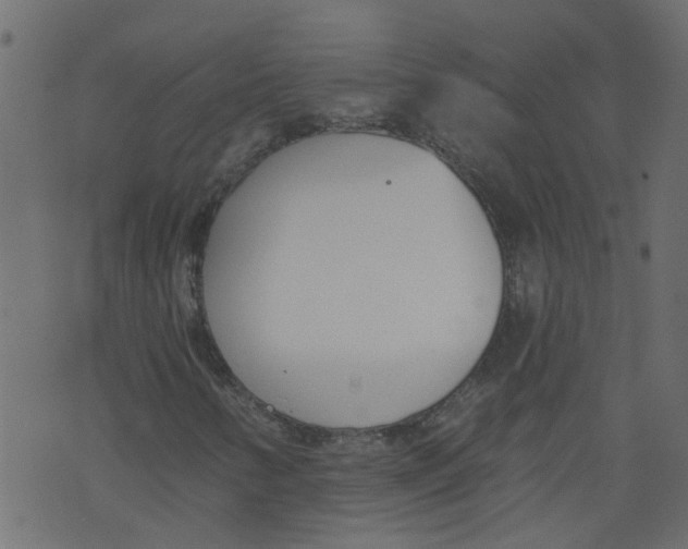 X0000073461346200608251721