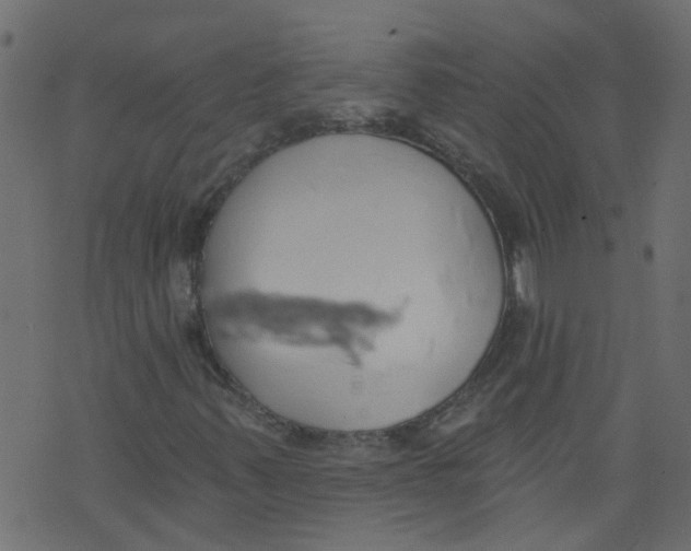 X0000073461347200608251721