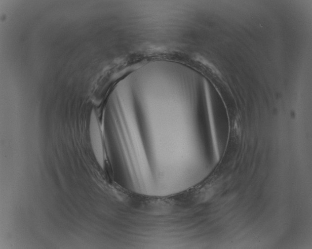 X0000073461348200608251721