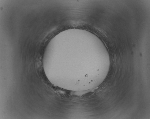 X0000073461349200608251721