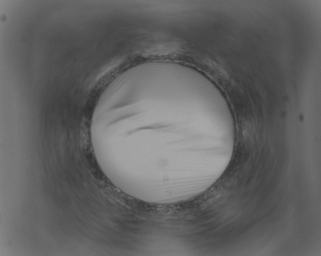 X0000073461350200608251721