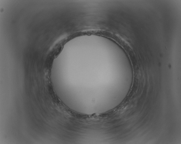 X0000073461351200608251721