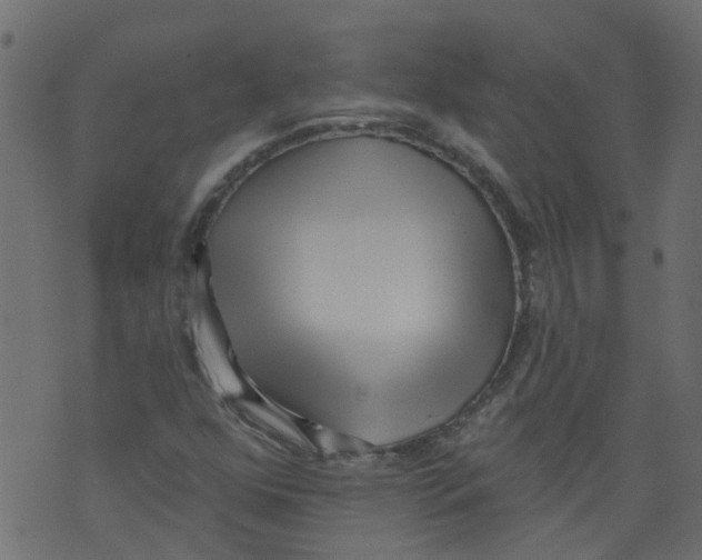 X0000073461352200608251721