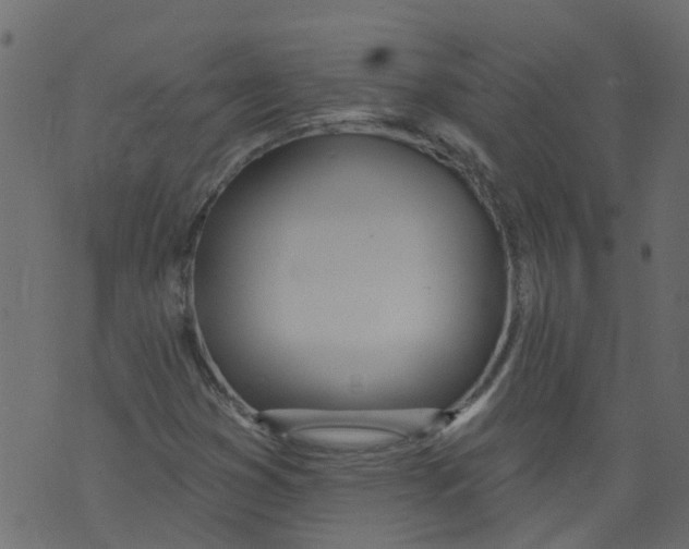 X0000073461353200608251721