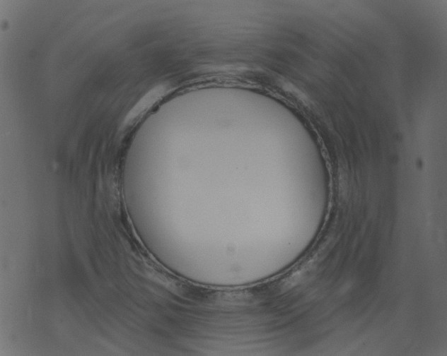 X0000073461354200608251721