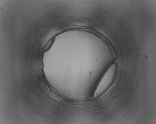 X0000073461355200608251721