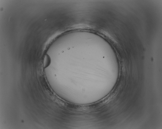 X0000073461358200608251721