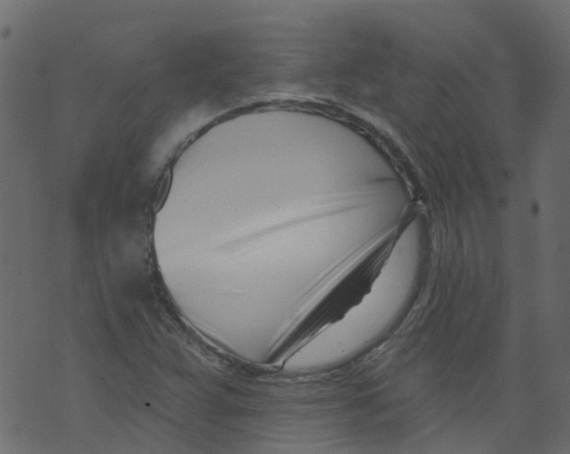 X0000073461359200608251721