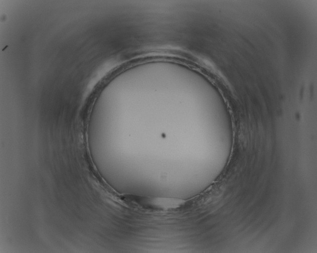 X0000073461360200608251721