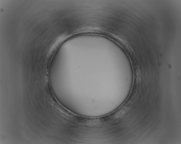 X0000073461363200608251721