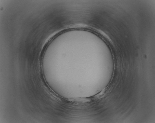 X0000073461364200608251721