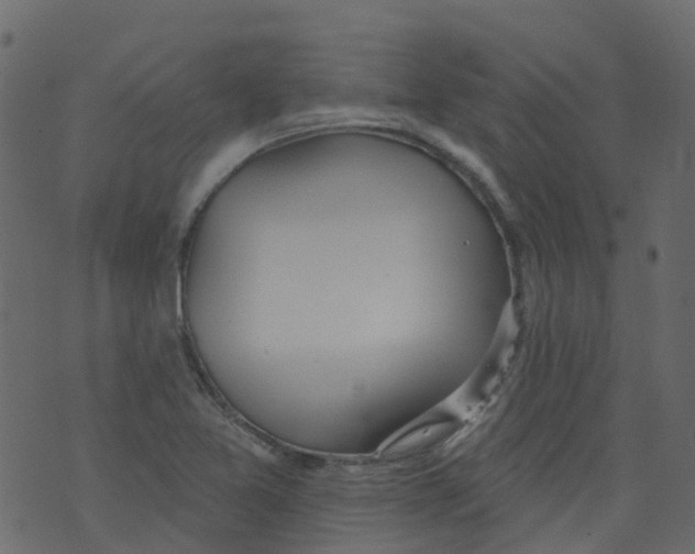 X0000073461365200608251721