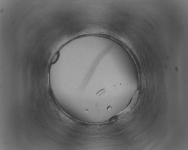 X0000073461366200608251721