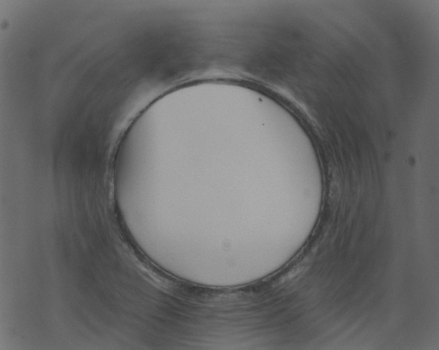 X0000073461367200608251721