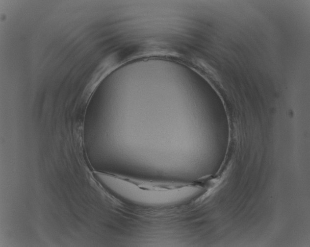 X0000073461369200608251721