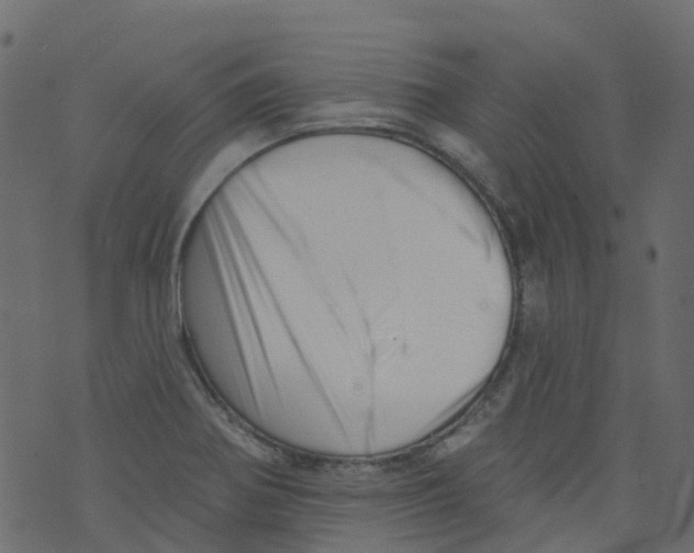 X0000073461370200608251721