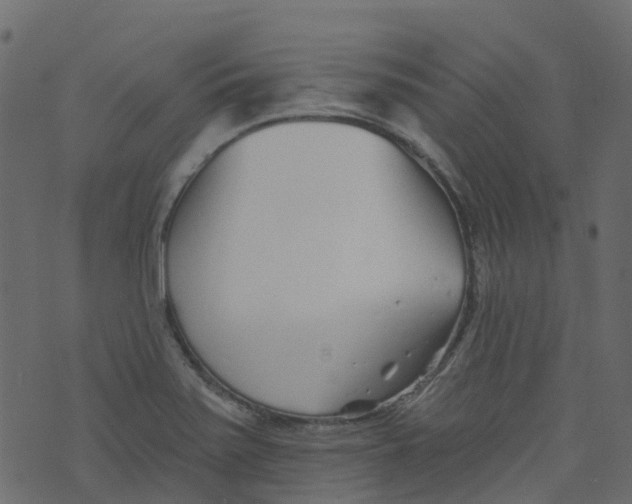 X0000073461371200608251721