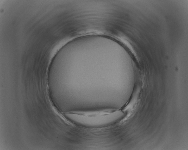 X0000073461373200608251721