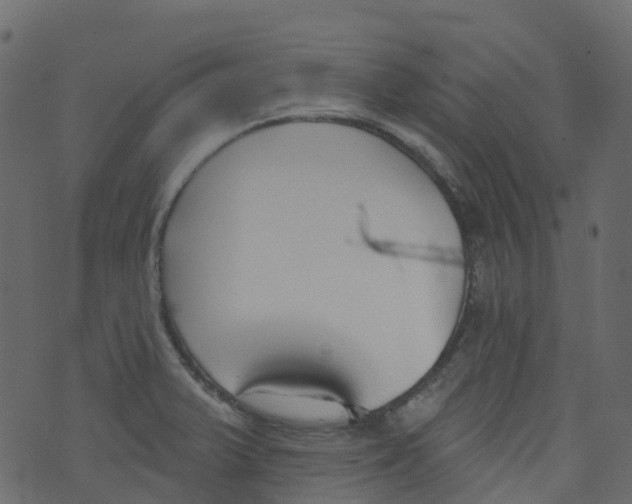 X0000073461375200608251721