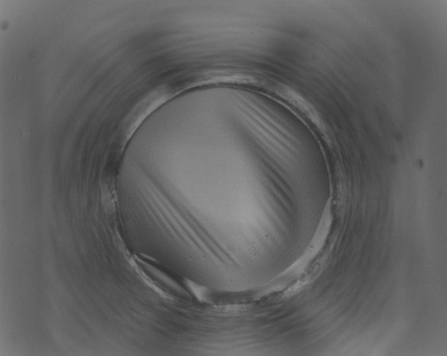 X0000073461377200608251721