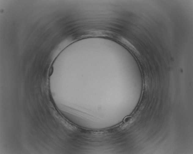 X0000073461378200608251721