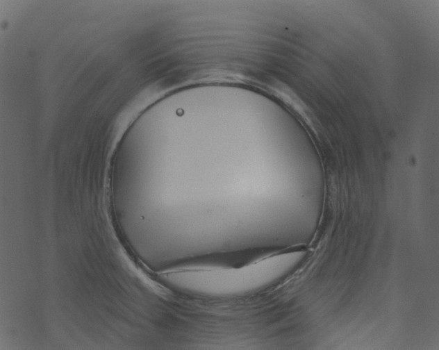 X0000073461379200608251721