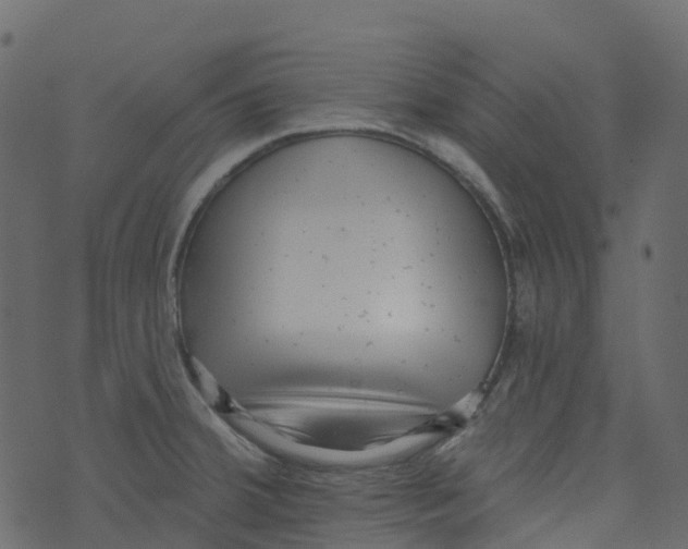 X0000073461380200608251721