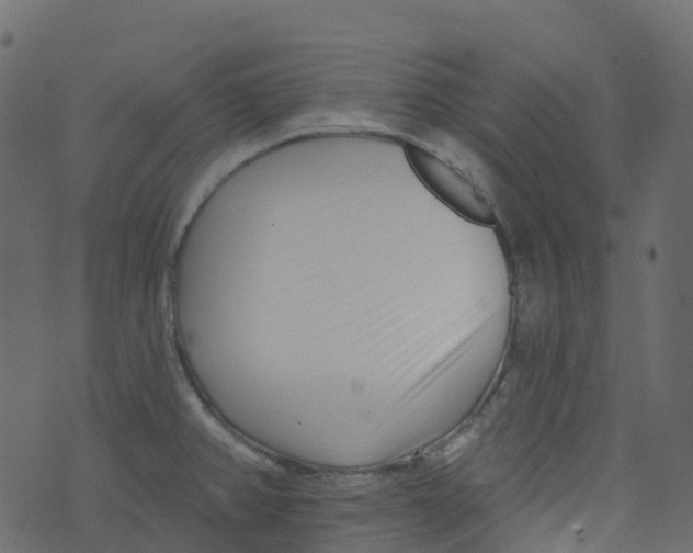 X0000073461382200608251721