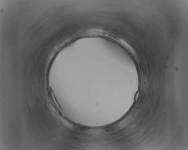 X0000073461384200608251721