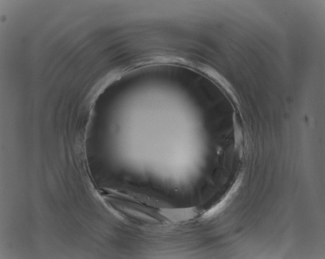 X0000073461385200608251721