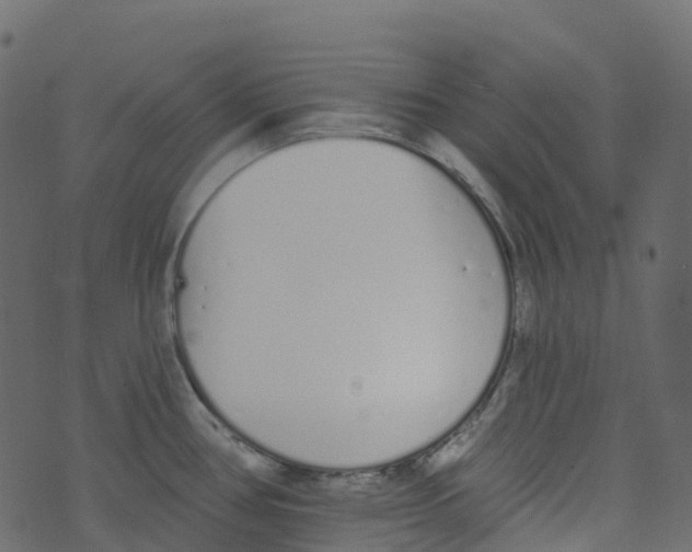 X0000073461386200608251721