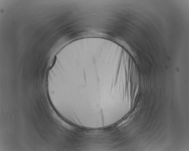 X0000073461387200608251721