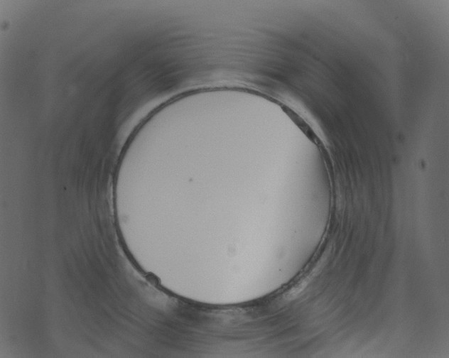 X0000073461388200608251721