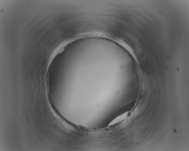 X0000073461389200608251721