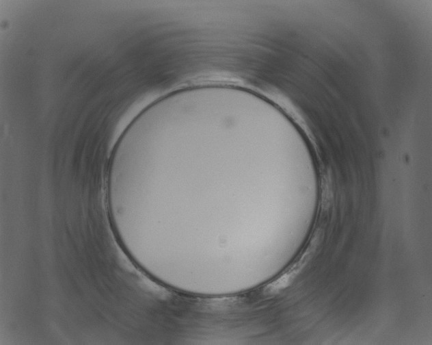 X0000073461390200608251721