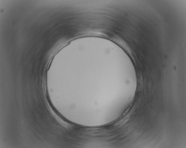 X0000073461391200608251721