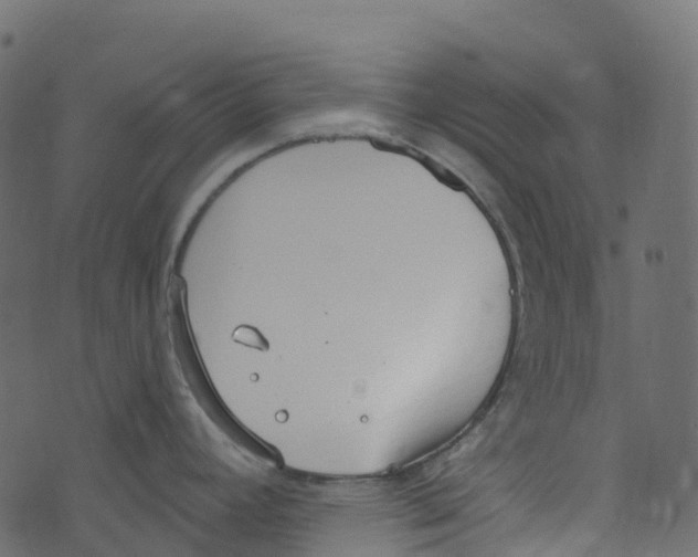 X0000073461392200608251721