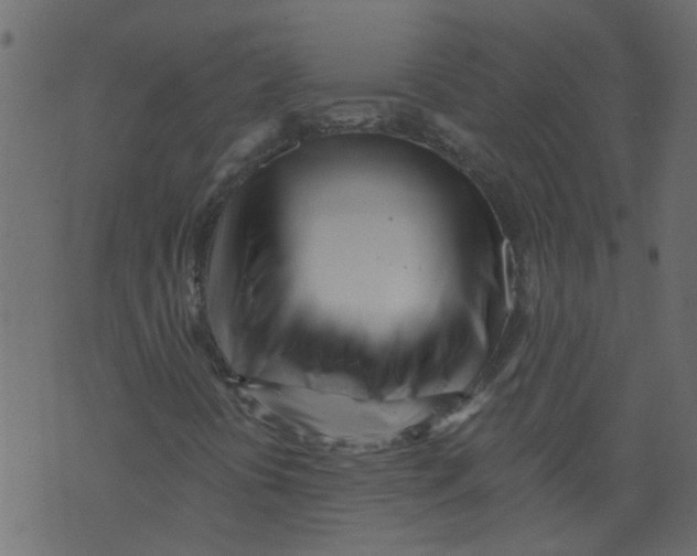 X0000073461394200608251720