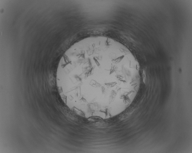 X0000073461395200608251720