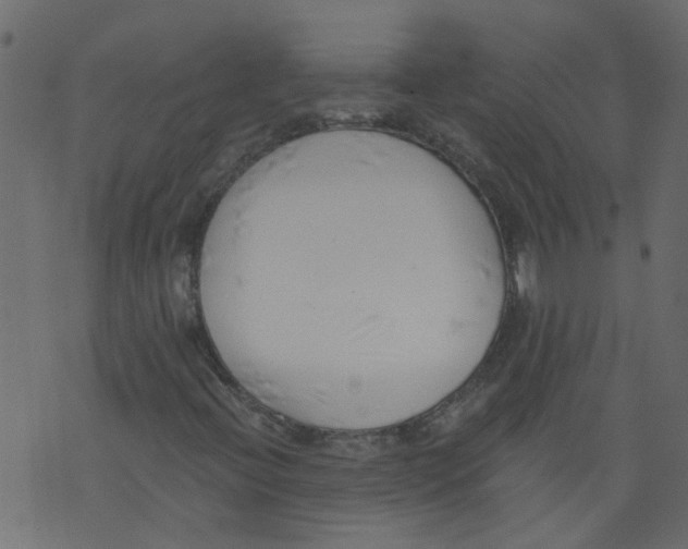 X0000073461396200608251720