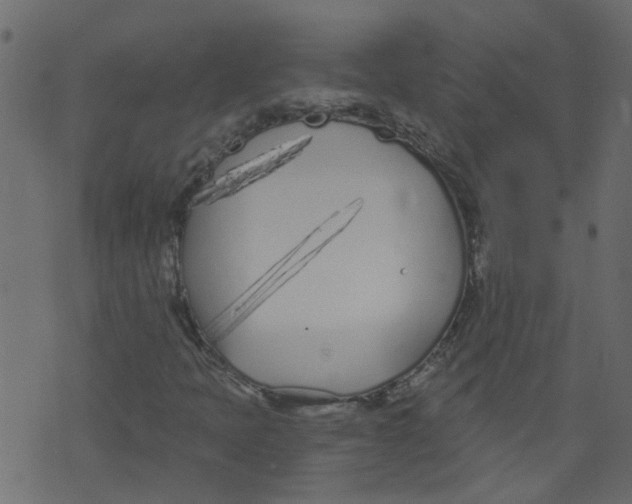 X0000073461397200608251720