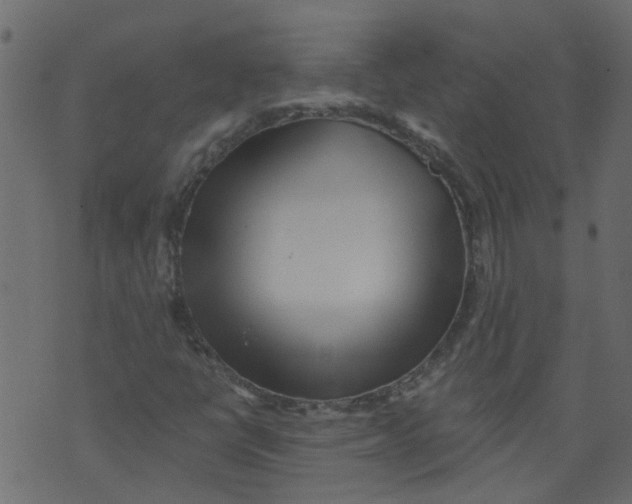 X0000073461398200608251720