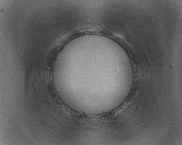 X0000073461399200608251720