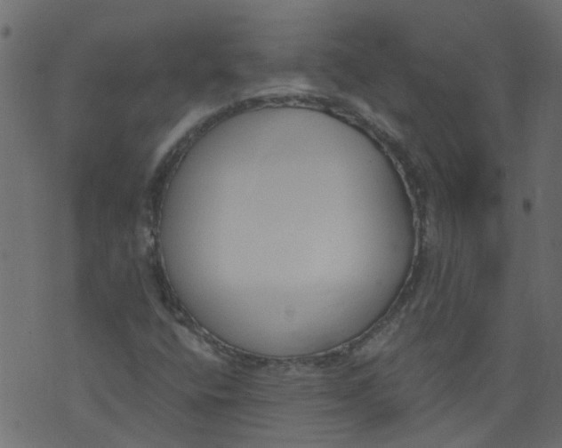 X0000073461400200608251720