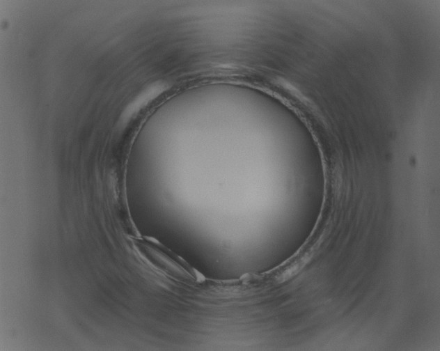 X0000073461402200608251720